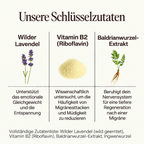 GRÖM Florus Regeneration