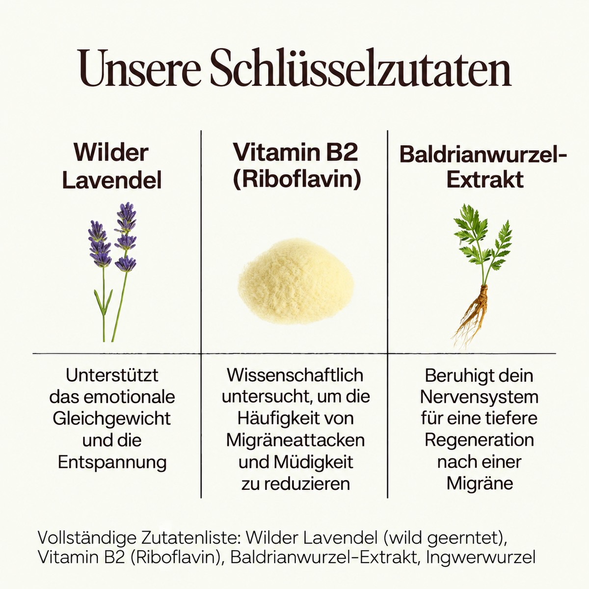 GRÖM Florus Regeneration